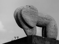 Paar, 2007, Buchenholz