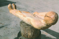Mauersegler