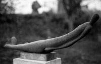 Mauersegler, 2004, 90cm lang, Basaltlava